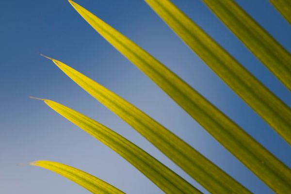 thierrydehove-sxm-60